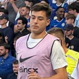 Aarón Anselmino